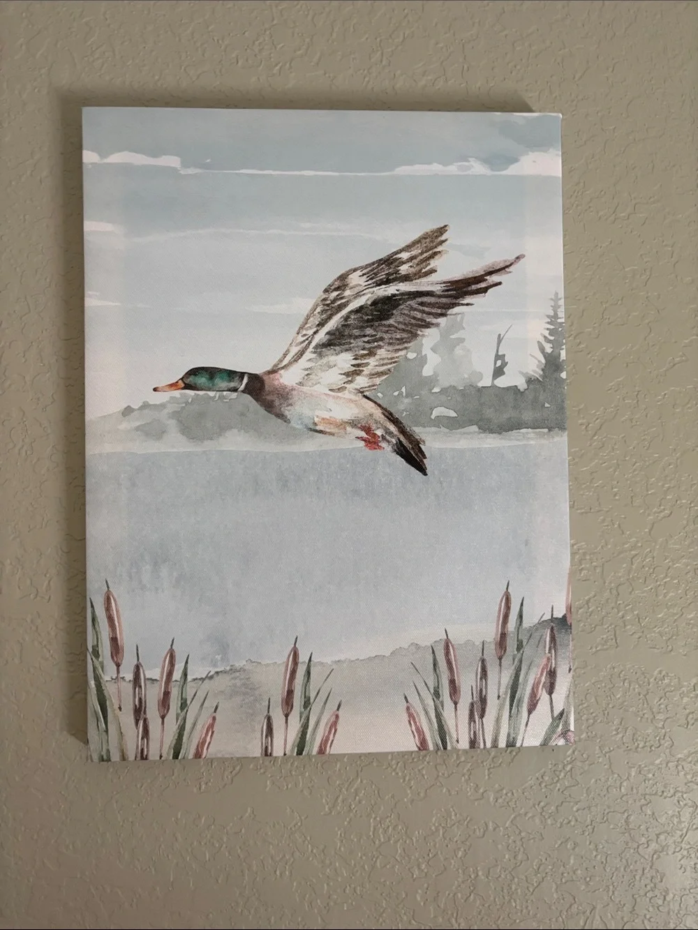 Mallard Canvas Wall Art